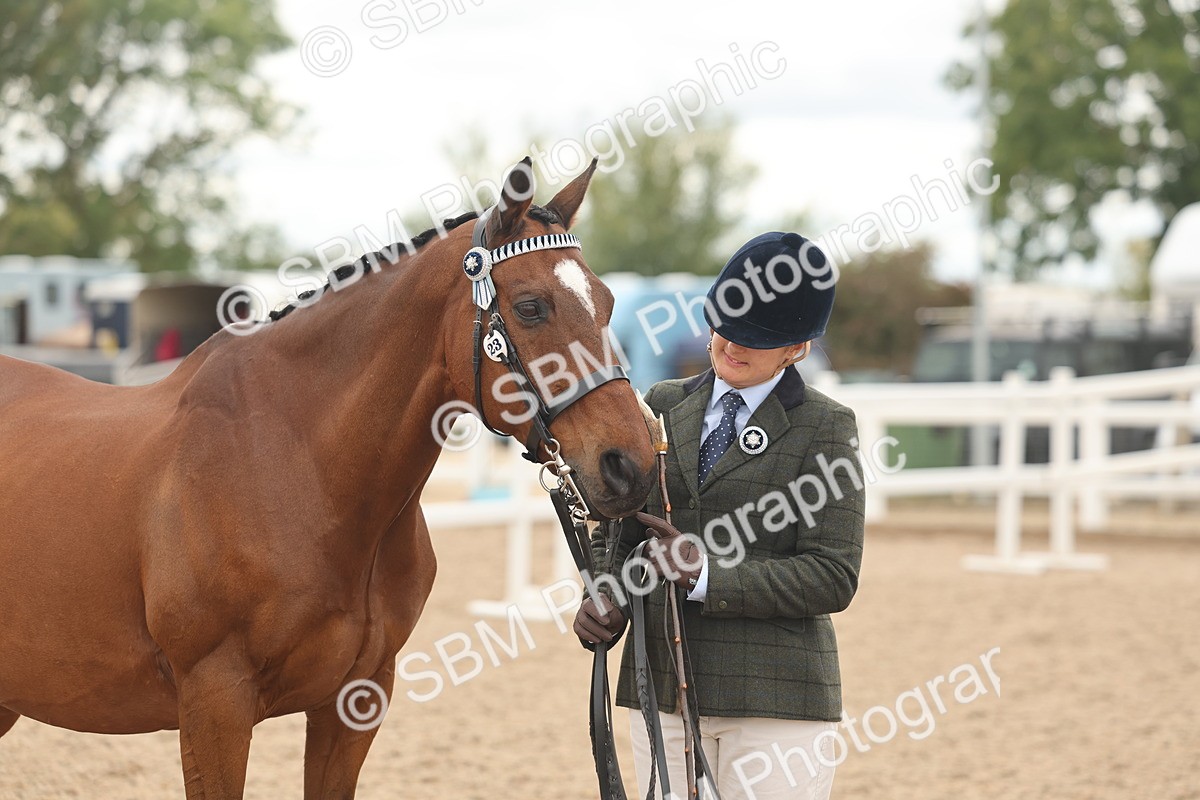 SBM_17112 - Class 313 - IH Retired Racehorse