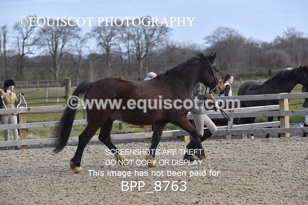 BPP_8763 - RING 2 - M&M