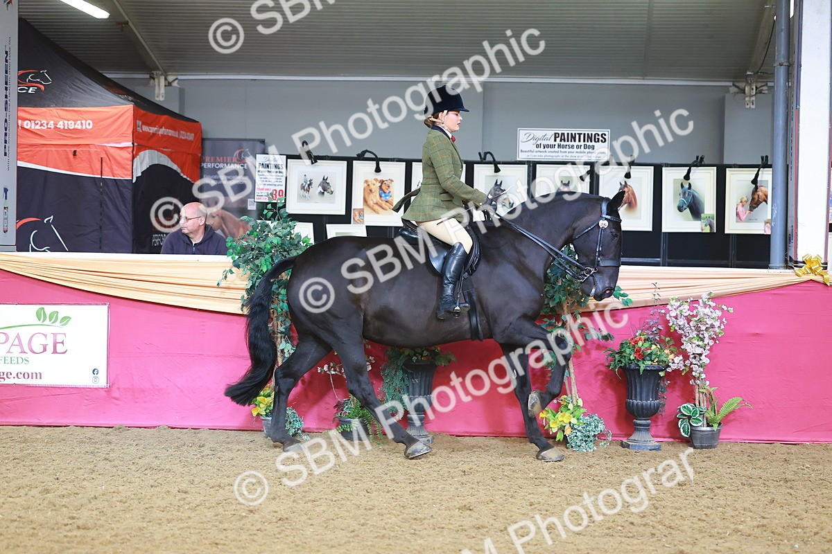 SBM_07627 - Class 101 - HOYS Veteran Qualifier - Ridden Diamond