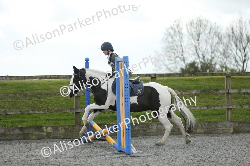 20260412-0622 - Show Jumping