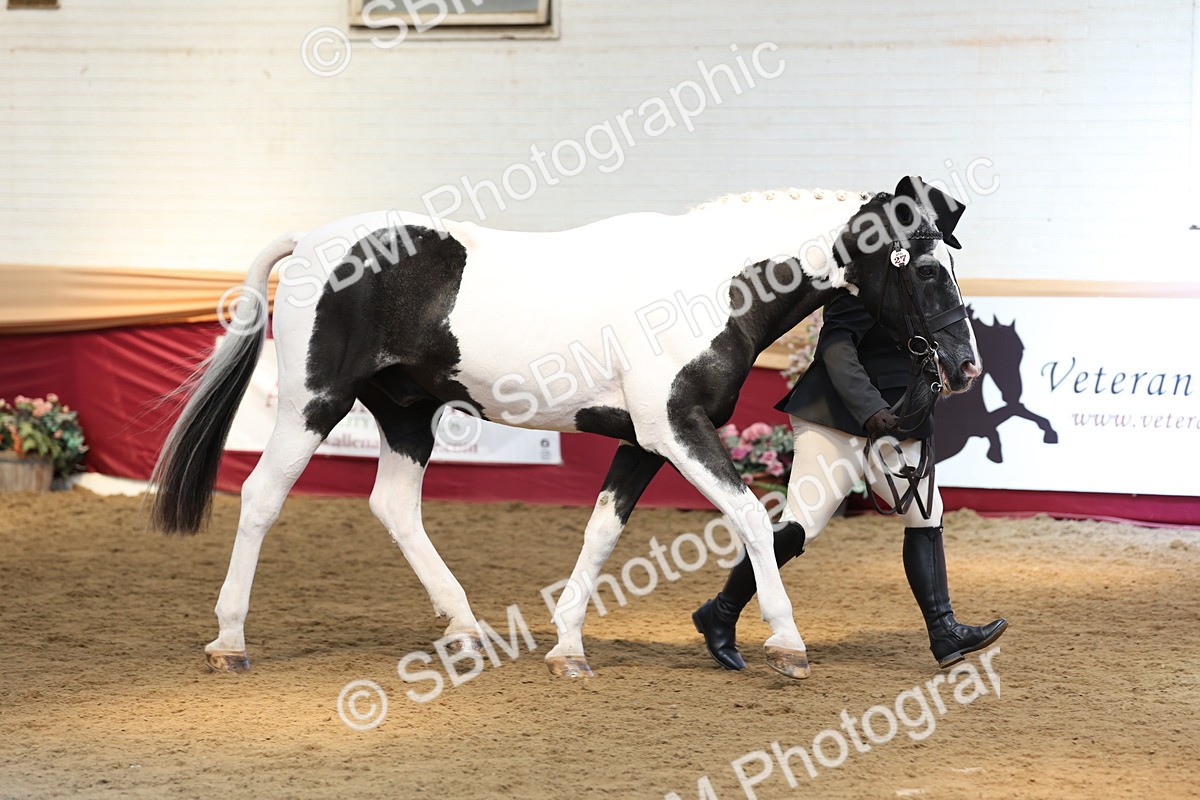 SBM_23581 - Class 904 - Supreme Final - Ridden Diamond