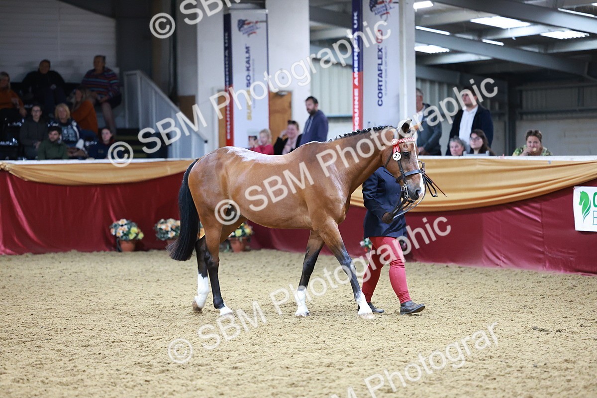 SBM_20099 - Class C - Novalty Champ