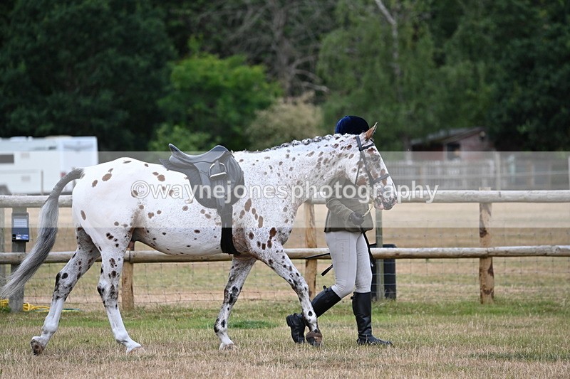 WJ6_3714 - Class 9 Tack & Turnout