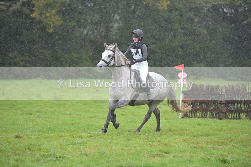 RAY_0328 - Class 4: 80cm: Double of Brushes