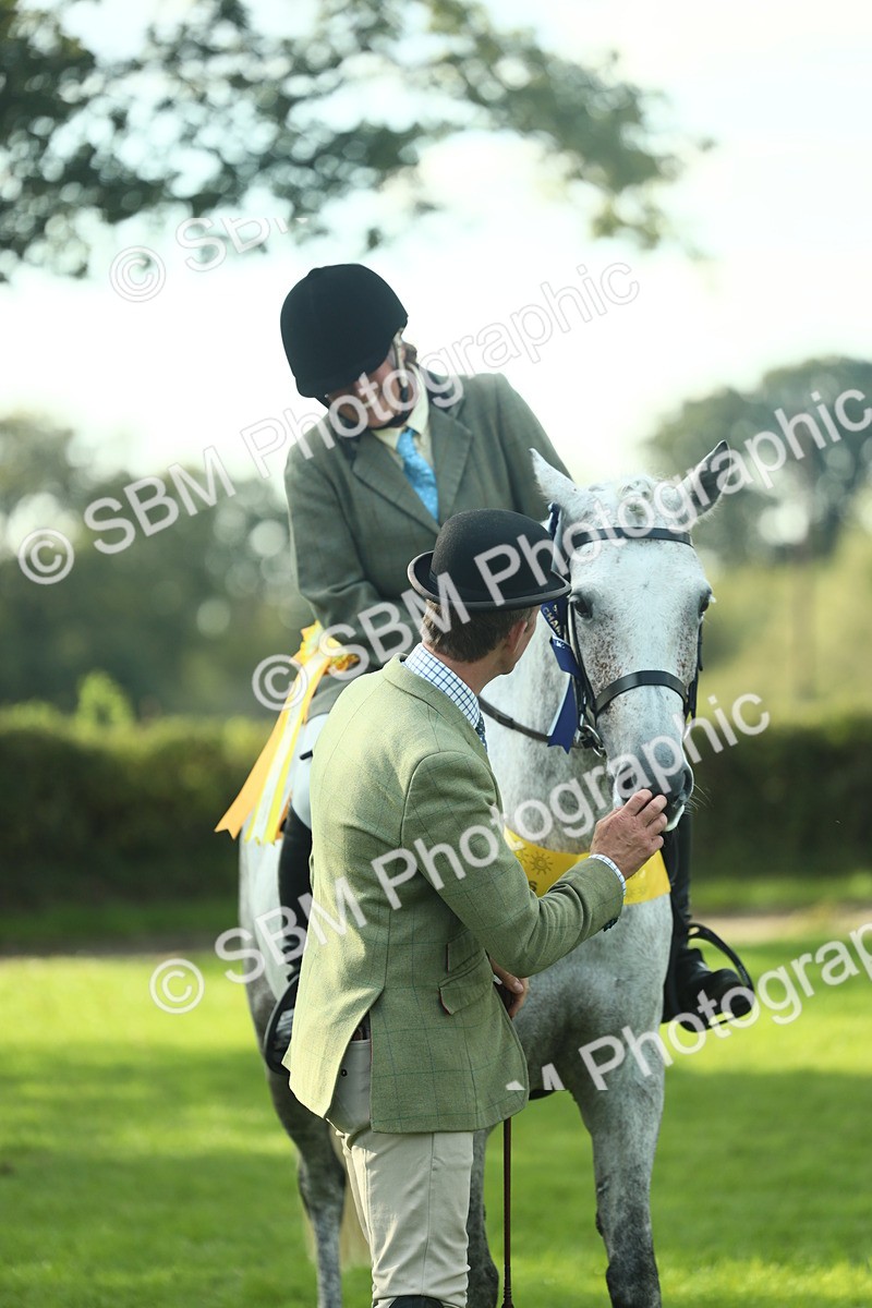 SBM_52328 - Working Hunter Supreme Championship