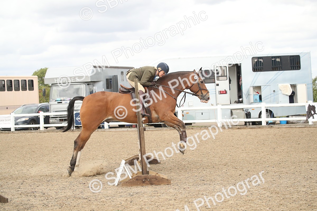 SBM_16617 - Class 507a - Working Veteran - 60cm (15-19)