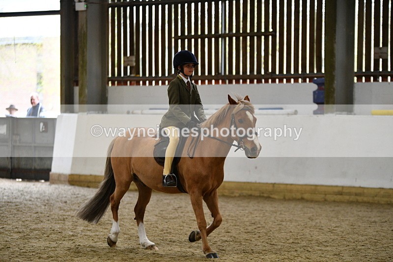 WJ5_7261 - Class 11 Ridden PC - RC Pony