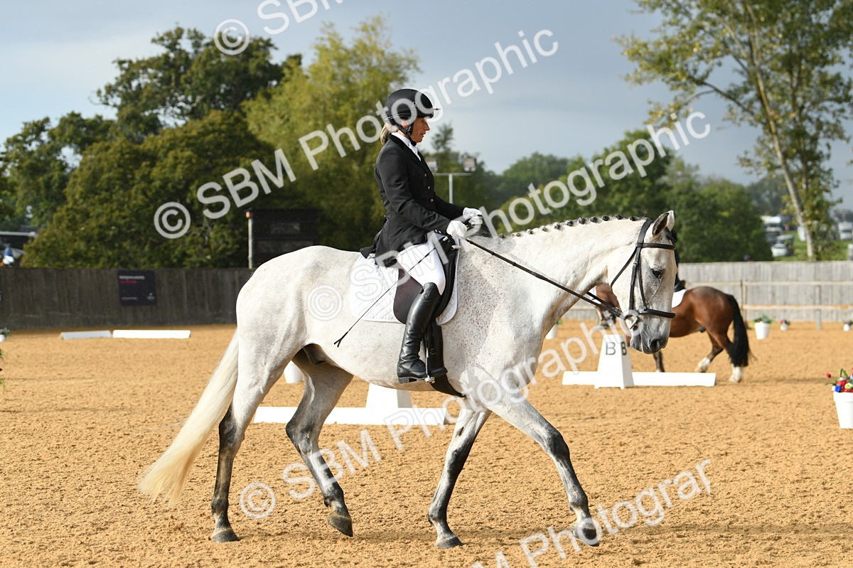 SBM_11160 - D28 Elementary Taster Elementary 42