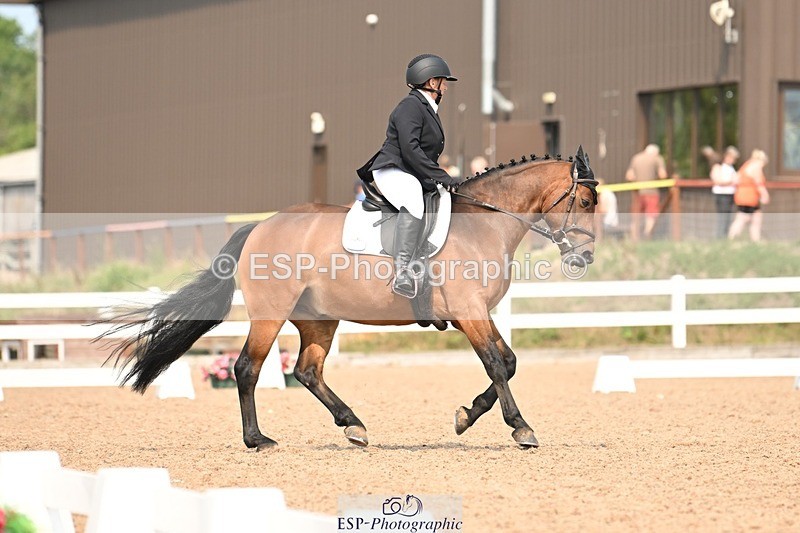 250816-142003-05086 - 049-Carolyn.GaleNewtown.Ringo