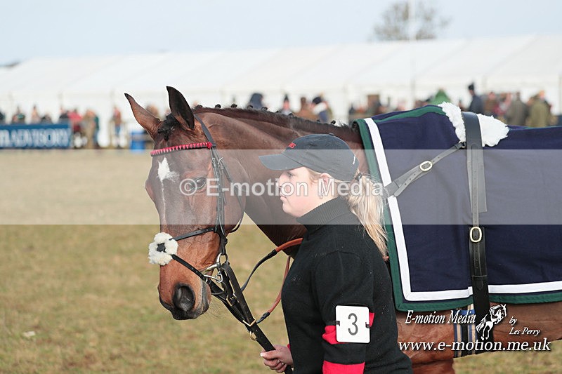 PtP 210124 21 - Cocklebarrow Races Point-to-Point 21/01/24
