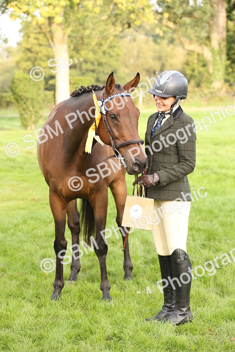 SBM_55013 - S52 - Riding Horse & Hack & thoroughbred In Hand