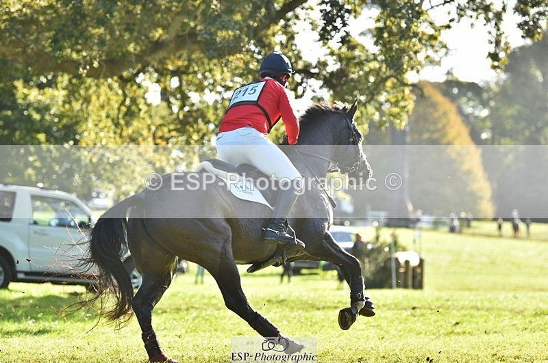 231022-102030-25325 - 215-ROYAL.CRUSADE-David.Doel-XC