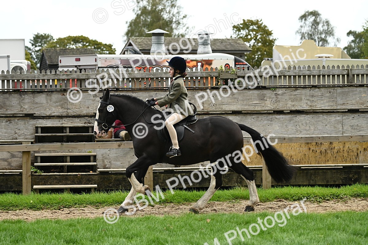 SBM_02894 - S3 - TSR Ridden Pony Showing