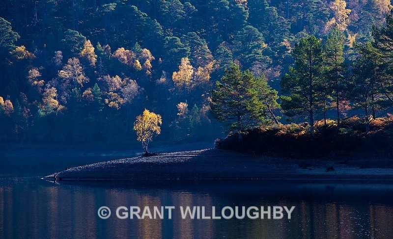 Autumn scene 4 - Woods Trees Gorges and Waterfalls