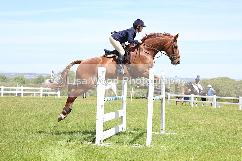 3E7A1252 - Class 12: Senior Foxhunter/1.20 open