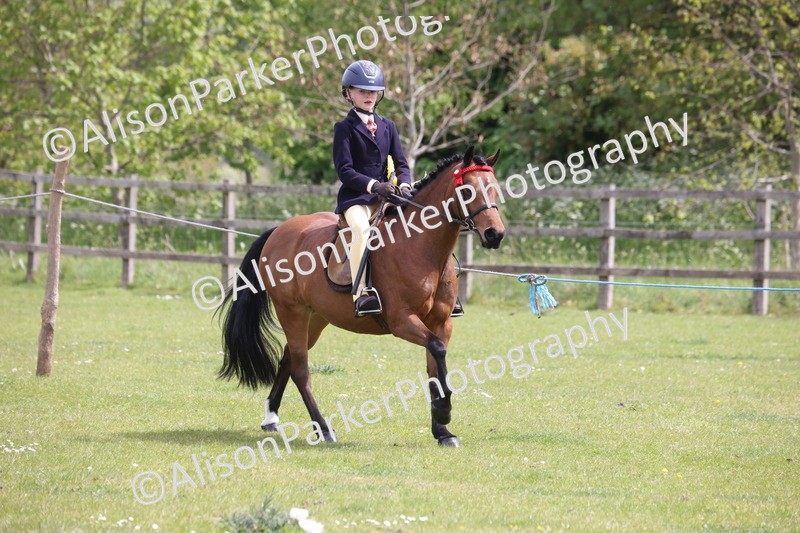 20260426-4053 - Class 33 - Best Pony 14.2hh and Under