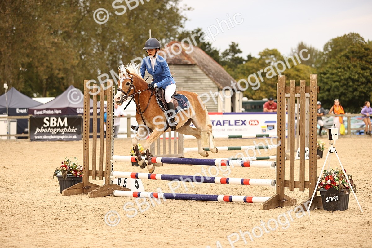 SBM_72608 - J14 - Junior Pony 65cm Championship