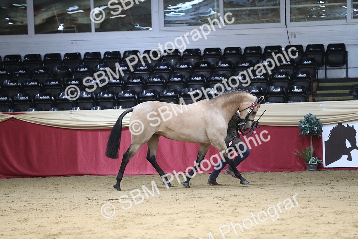 SBM_05065 - Class 8R- Regional -IH Veteran