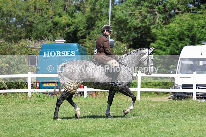 3E7A8931 - Class 6: Open Working Horse