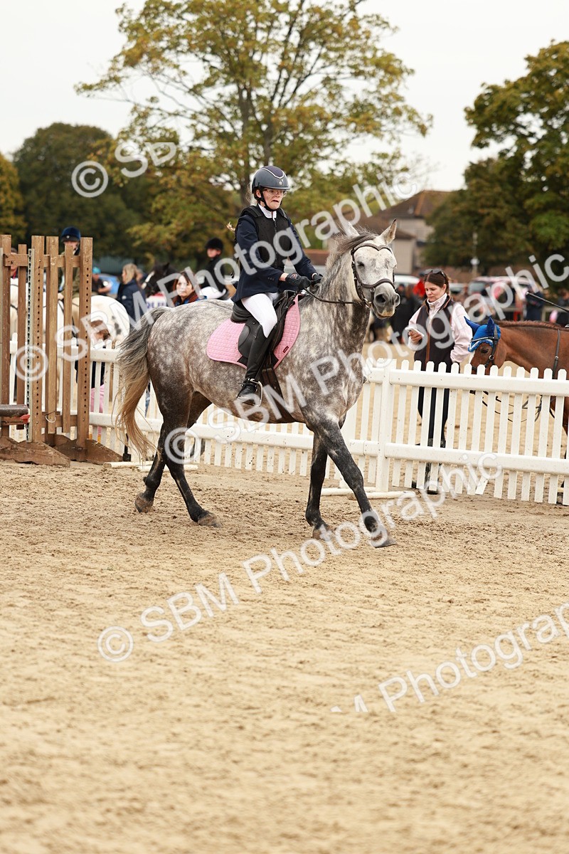 SBM_57995 - J11 - Junior Pony 50cm Championship