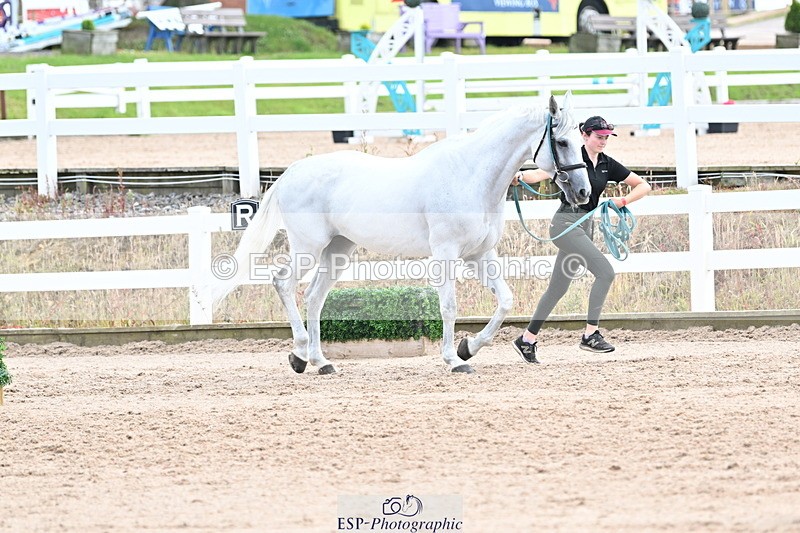 240717A-143940-02172 - Trot Up 2pm to 3pm - This folder is not in time order