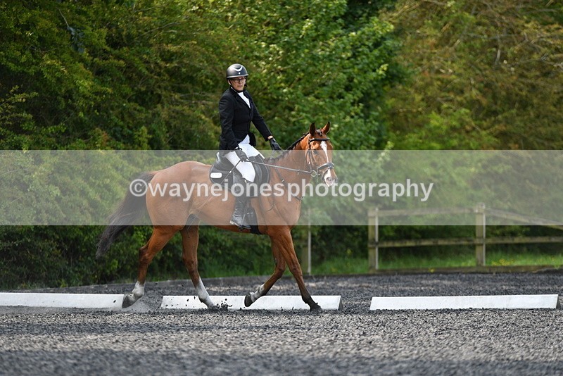 WJ5_9324 - Time 10:10 to 10:47