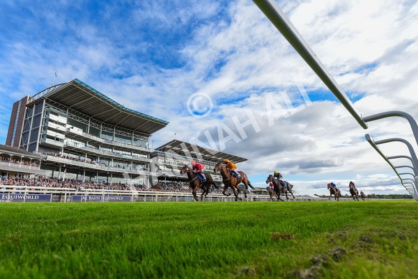 141023-Race 4-Colorada Dancer-4041 - Race 4 3.05pm Coral Racing Club EBF Maiden Stakes