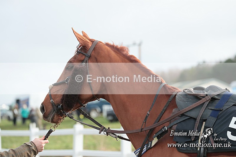 PtP 311223 353 - Larkhill Racing Club Point-to-Point 31/12/23