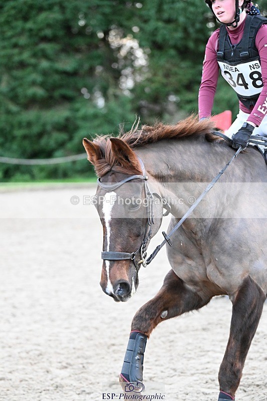 241117-160455-04990 - Cls 4 100-105cm