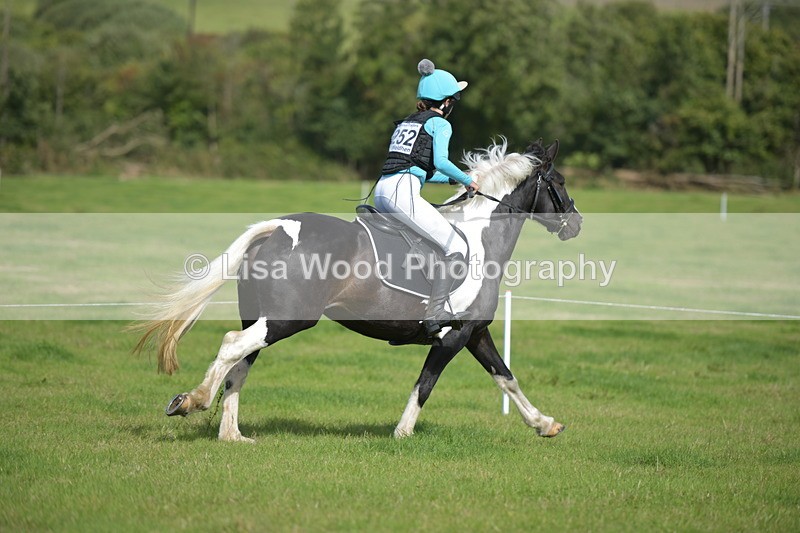 RAY_8654 - Class 2: Trekenning Open: Wall