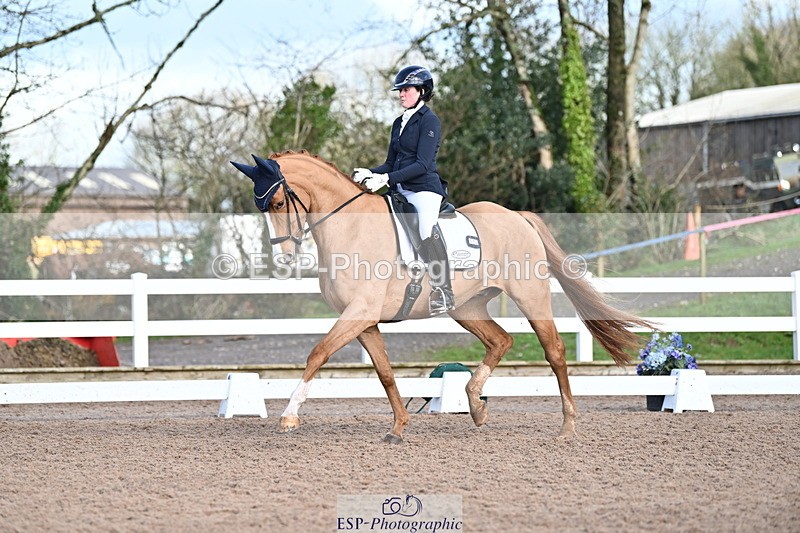 240218A-114155-06807 - 272-Beth.Bainbridge-Newton.Dreamcatcher