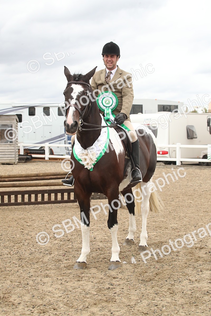 SBM_18331 - Class 509a - Working Veteran - 80cm (15-19)