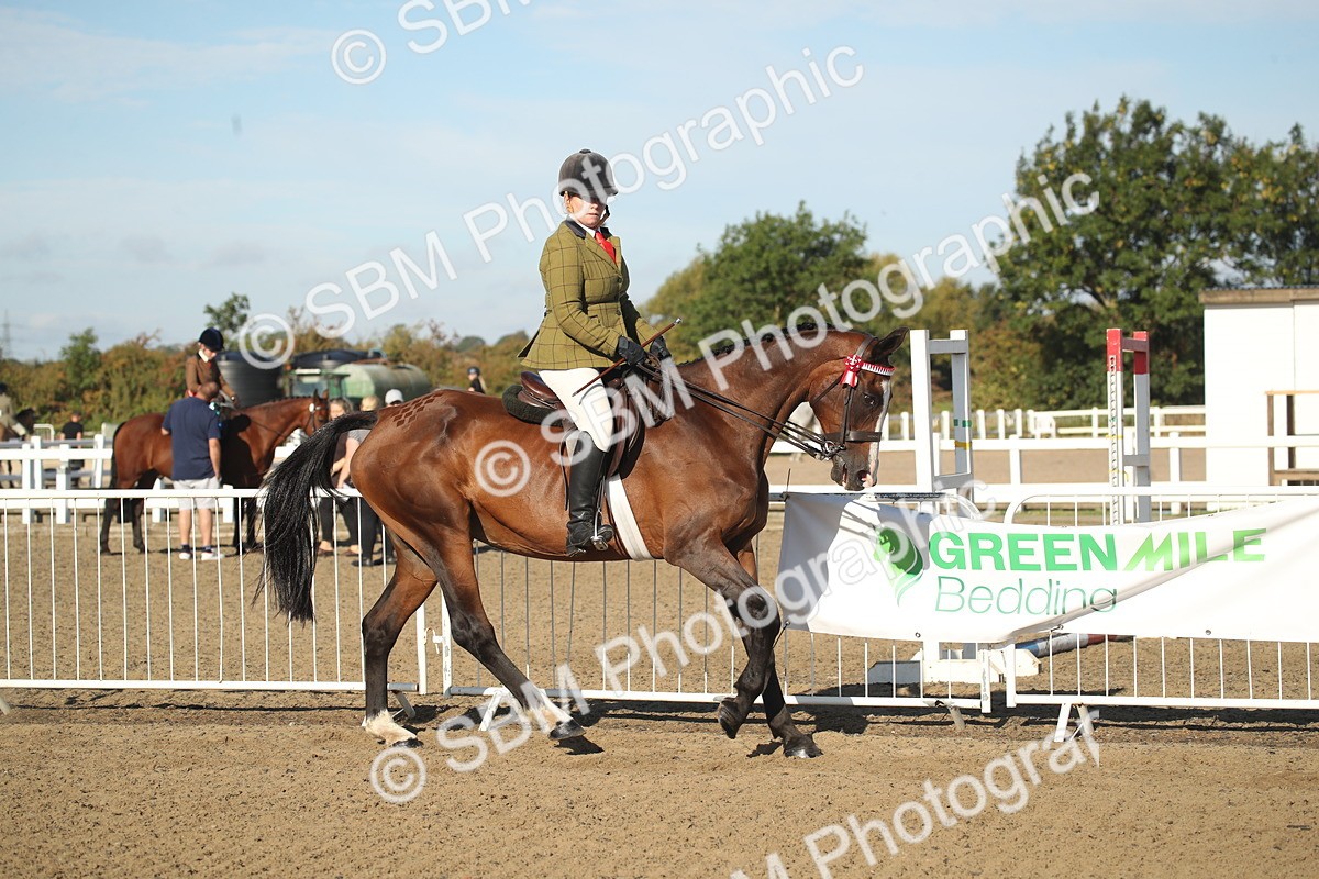 SBM_11292 - Class 501 -Riding Club Pony