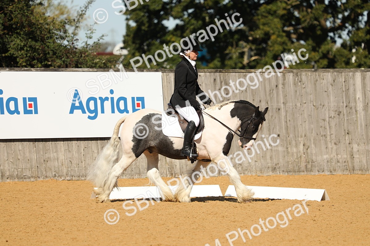 SBM_18874 - D10 - Small Tour Championship - Prelim 2