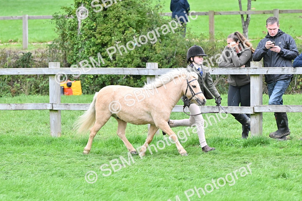 SBM_68579 - S42 - Junior Handler 9-12 Years