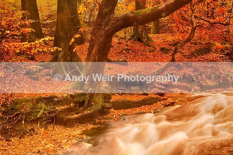 20121028-_MG_0691_HDR - England