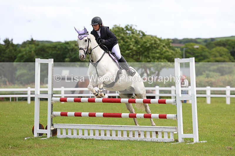 3E7A7741 - Class 13: Senior British Novice/90cm open