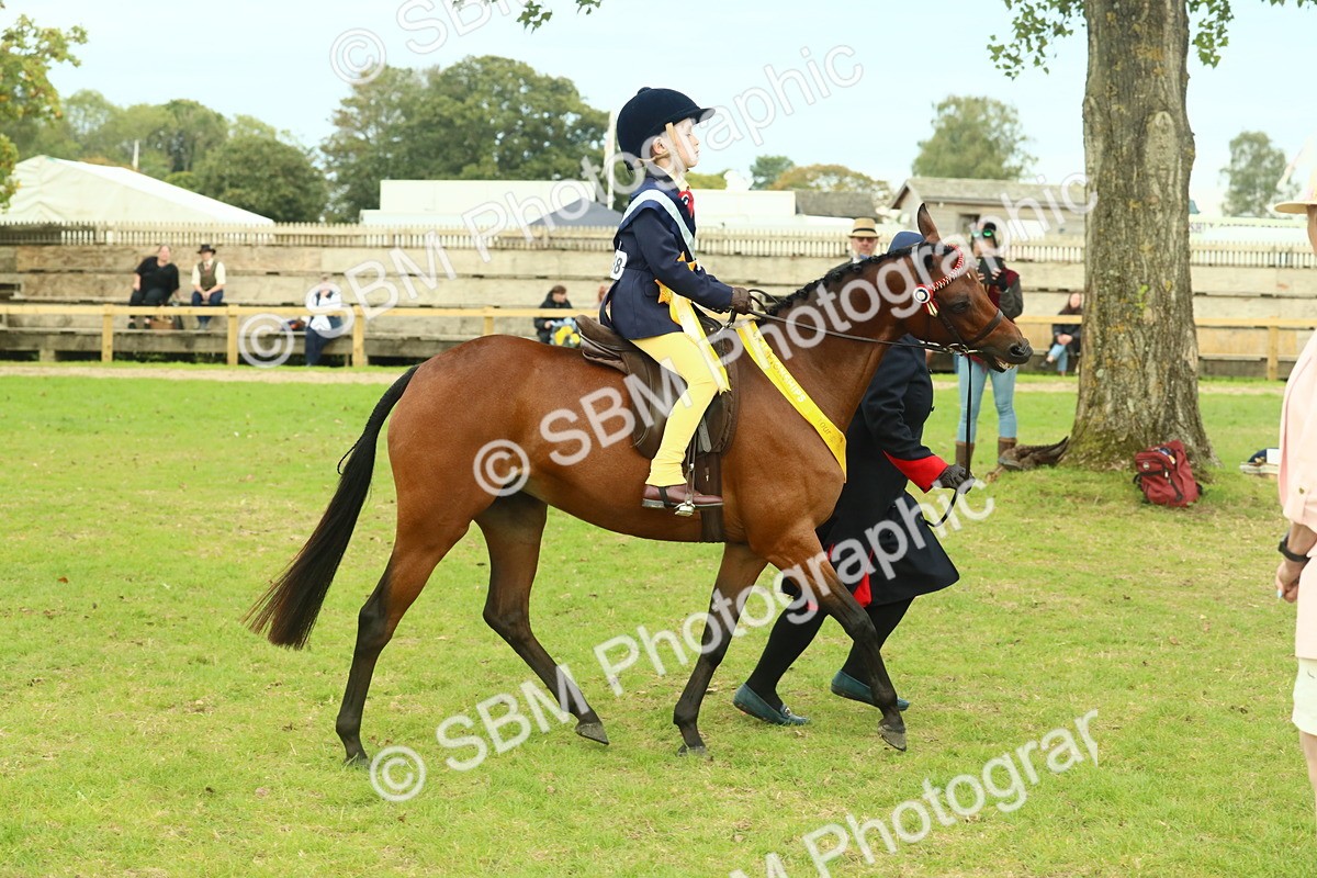 SBM_75228 - Super Supreme Championship