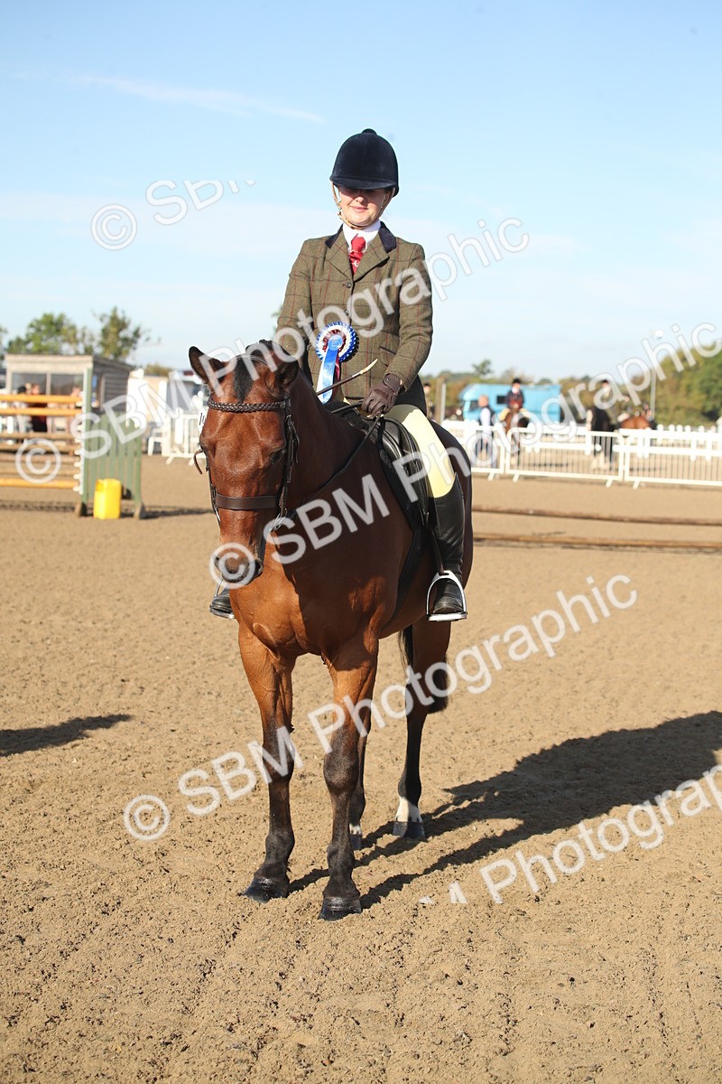 SBM_11586 - Class 502 - Riding Club Horse