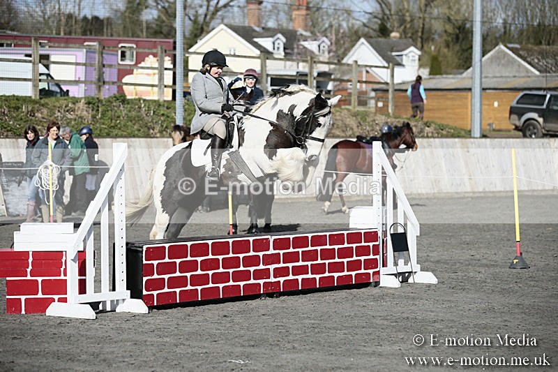 BVRC SJ 170319 85 - Bourne Valley Riding Club Showjumping 17/03/19