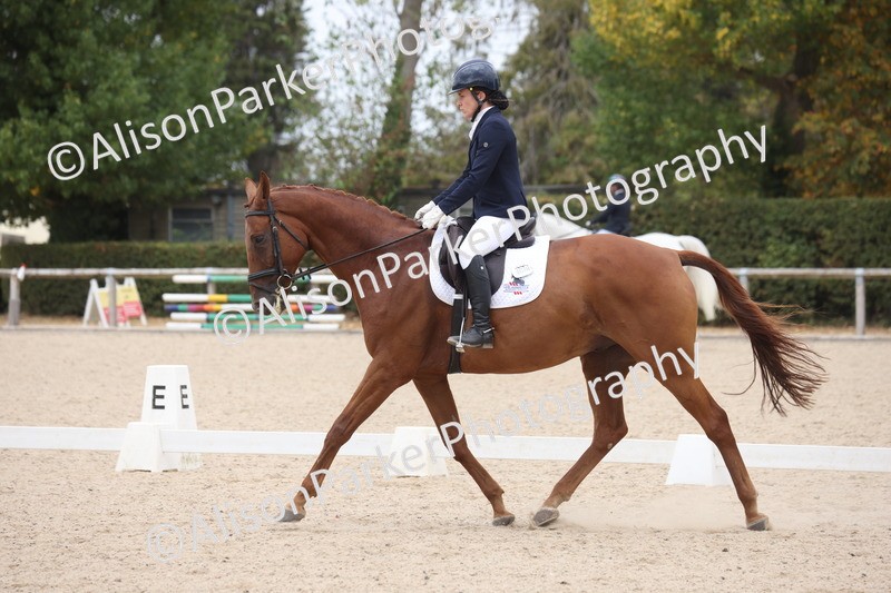 20260816-0919 - Class 4 - Novice 6