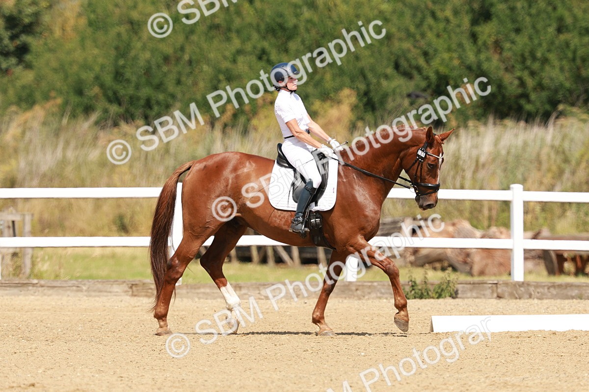 SBM_022331 - Class 22 - FEI PSG