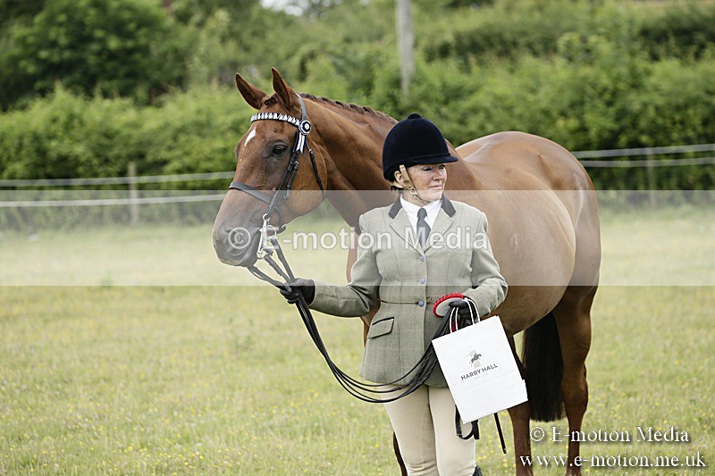 BVR160717-244 - Ring 2 BVRC Show 16/07/17