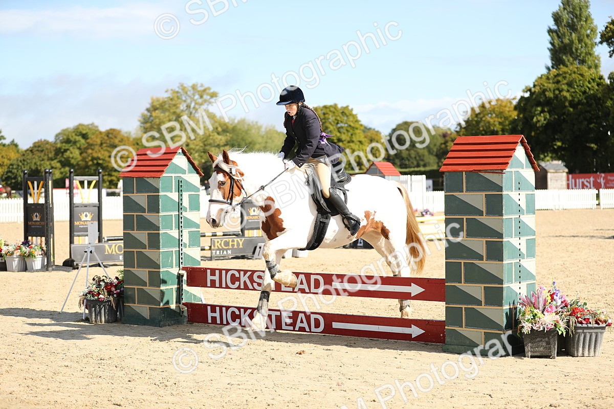 SBM_40194 - J21 - Junior Horse 60cm Championship