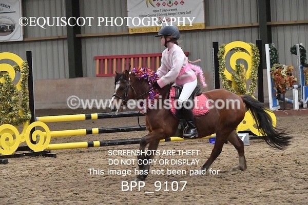 BPP_9107 - CLASS 3 50CM-70CM Pairs Show Jumping