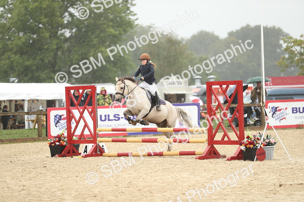 SBM_73780 - J16 - Junior Pony 75cm Championship
