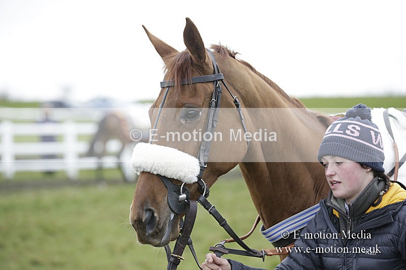 PtP 150320 0544 - New Forest Point-to-Point Larkhill 15/03/20
