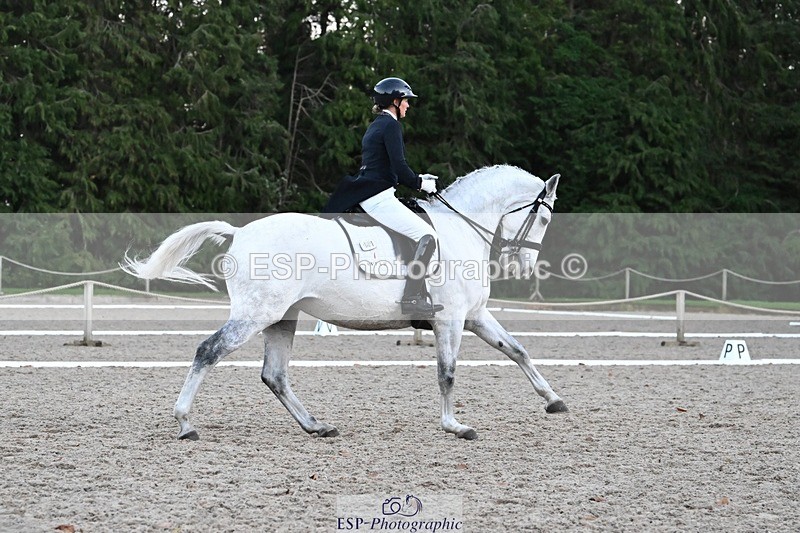 231110-163008-02654 - Cls 14 FEI Grand Prix