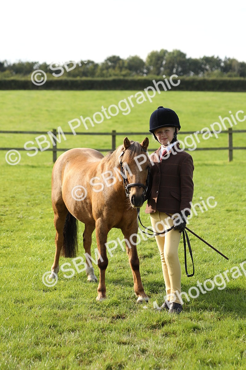 SBM_60985 - S43 - Coloured Pony In Hand