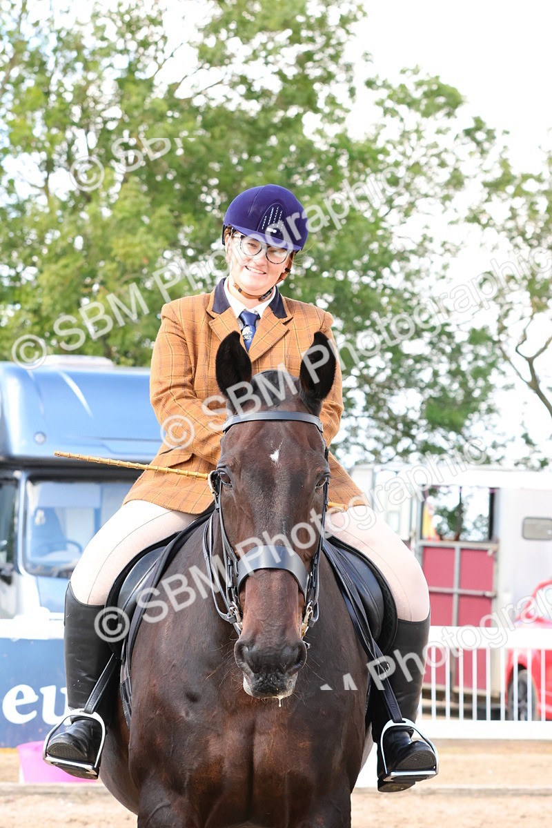 SBM_13531 - Class 212 - Ridden Hunter  - Large